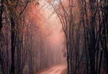 篮球过人技巧17小时前.