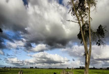 范迪克:非常期待和纽卡的联赛杯决赛 永生难忘去年绝杀切尔西.