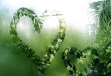 篮球过人技巧17小时前.