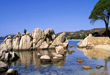 [NBA]锡安30分 活塞客场轻取鹈鹕.